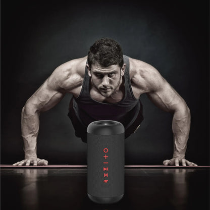 Portable IPX5 TWS Bluetooth Speaker