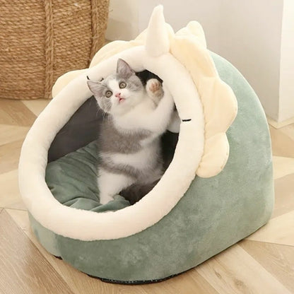 Dinosaur Pet House with Toy